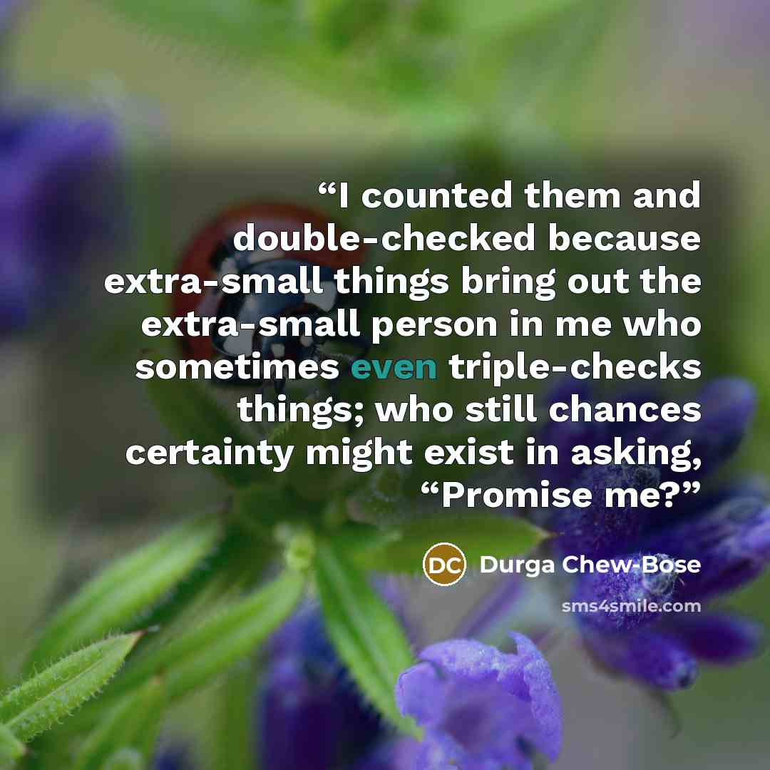 “I counted them and double-checked because extra-small things bring out the extra-small person in me who sometimes even triple-checks things; who still chances certainty might exist in asking, “Promise me?” quote by Durga Chew-Bose