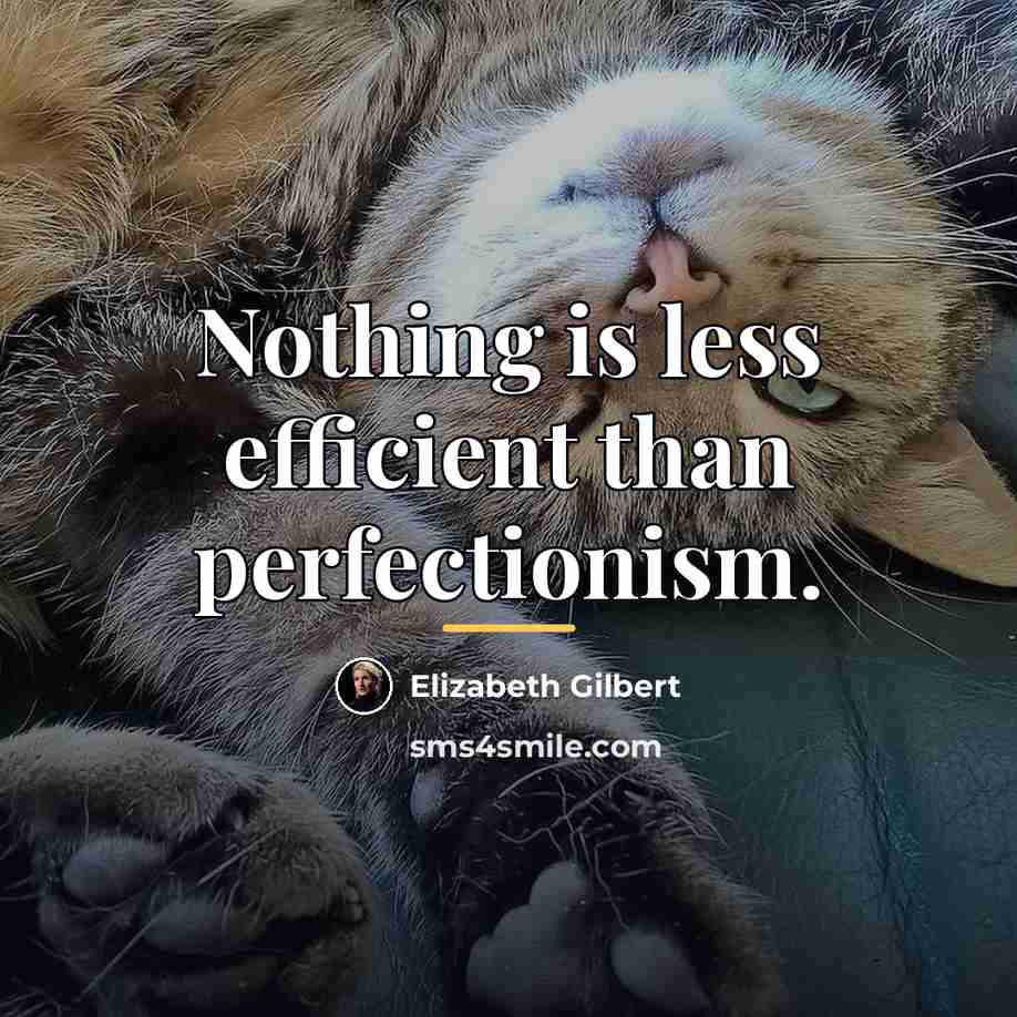“Nothing is less efficient than perfectionism.…” quote by Elizabeth Gilbert