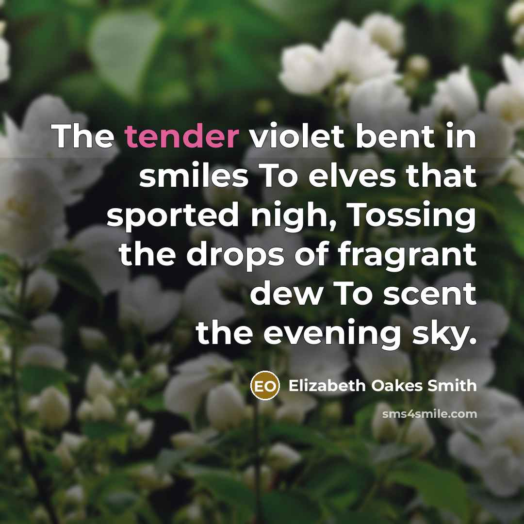 “The tender violet bent in smiles To elves that sported…” quote by Elizabeth Oakes Smith