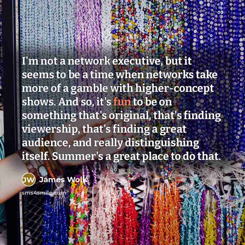 “I'm not a network executive, but it seems to be…” quote by James Wolk
