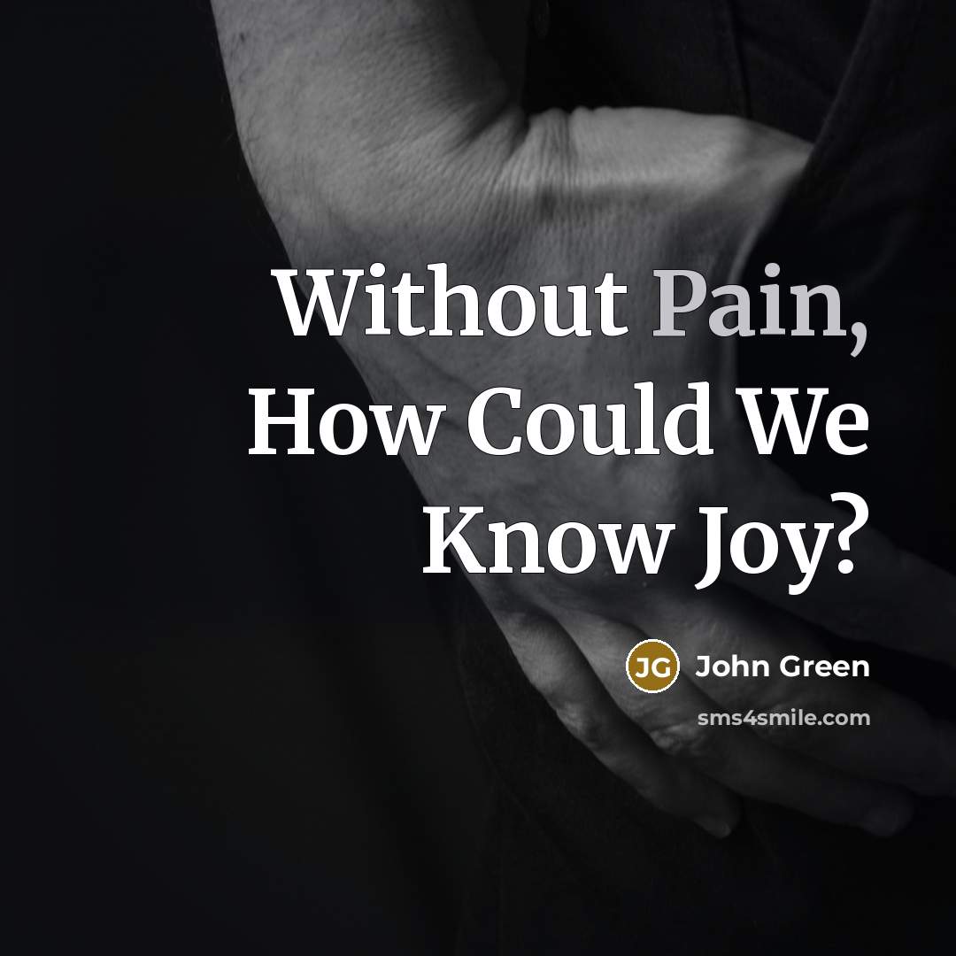 “Without Pain, How Could We Know Joy?…” quote by John Green