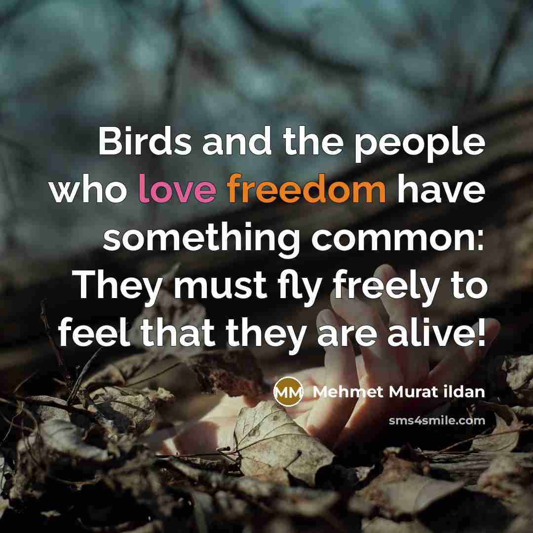 “Birds and the people who love freedom have something common:…” quote by Mehmet Murat Ildan