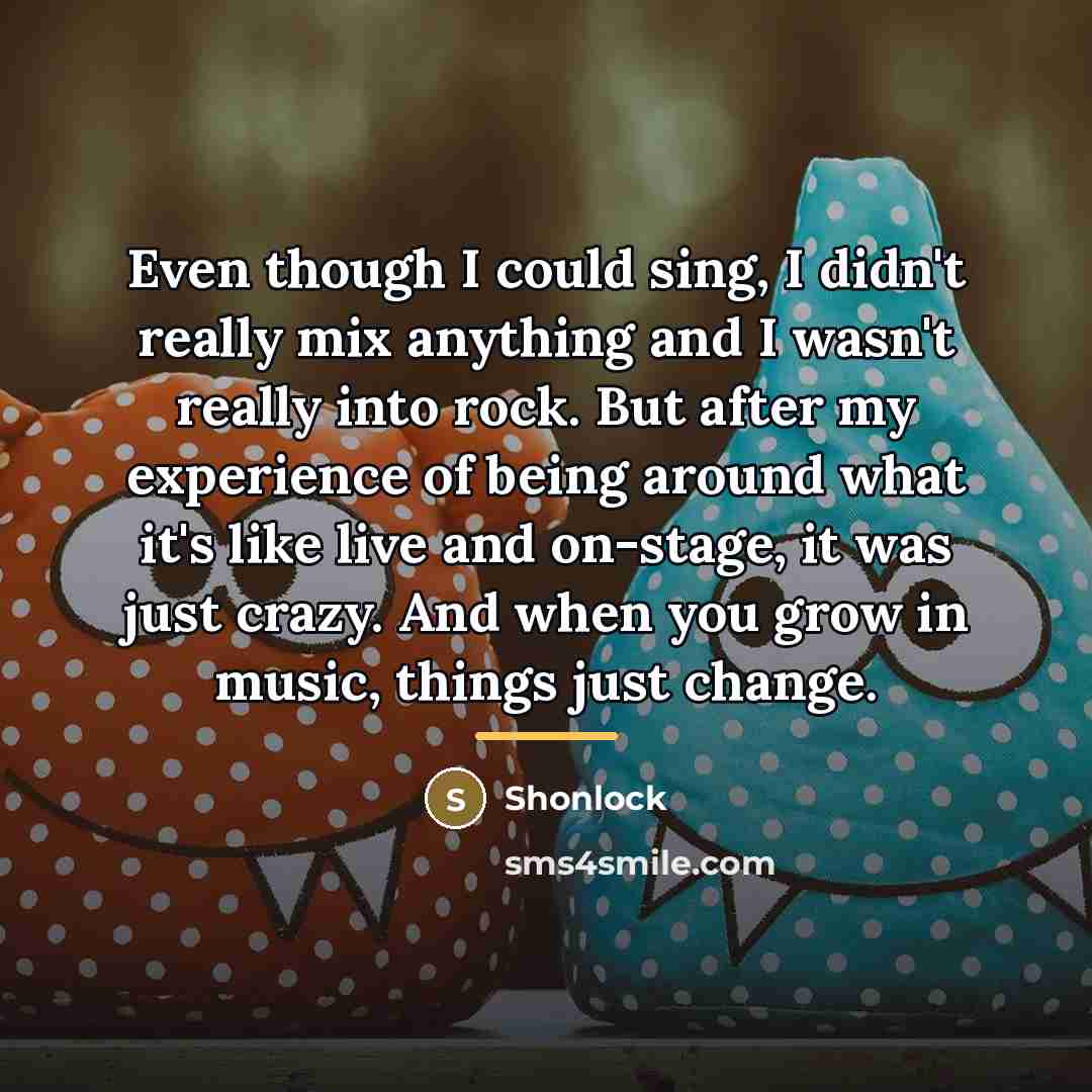 “Even though I could sing, I didn't really mix anything…” quote by Shonlock