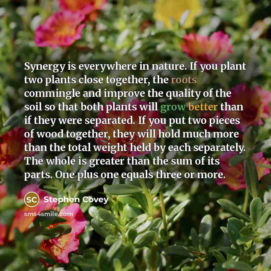 “Synergy is everywhere in nature. If you plant two plants…” quote by Stephen Covey