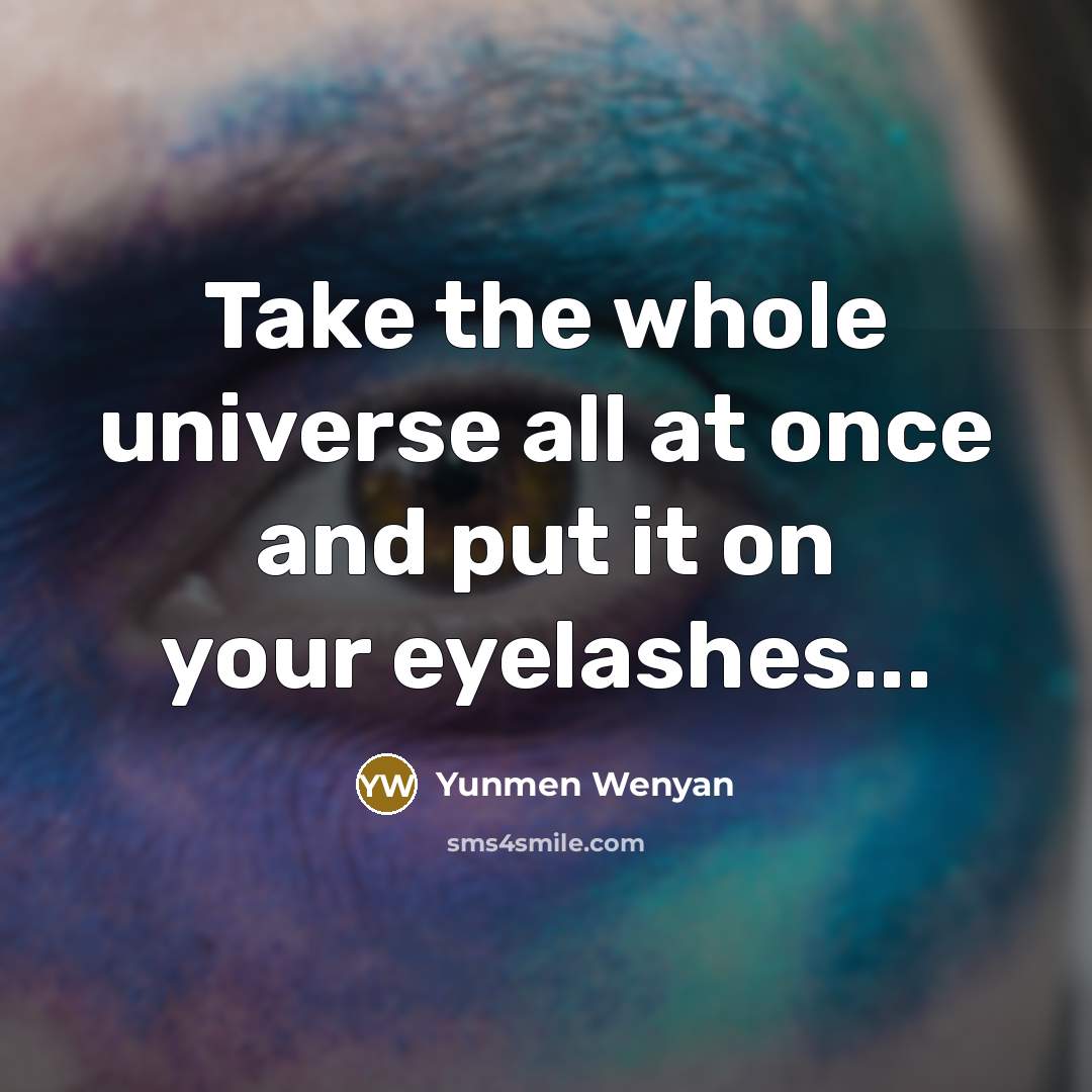 “Take the whole universe all at once and put it…” quote by Yunmen Wenyan