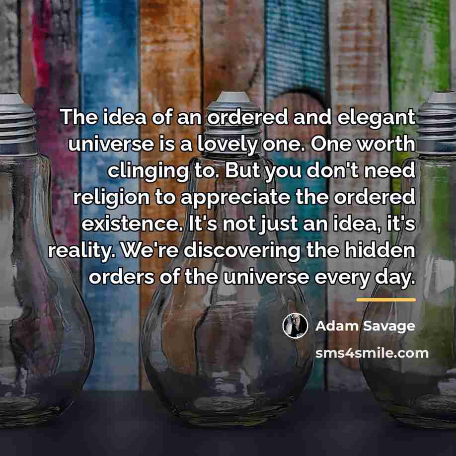 “The idea of an ordered and elegant universe is a…” quote by Adam Savage