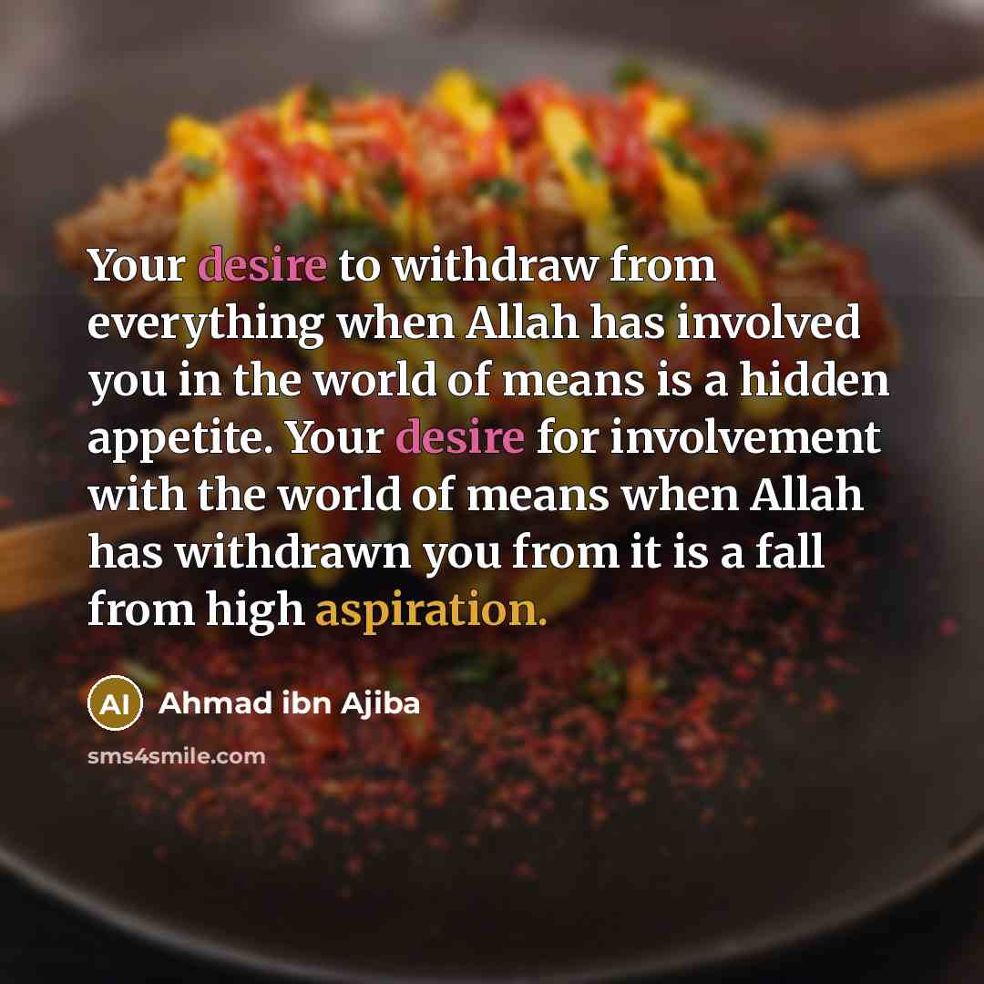 “Your desire to withdraw from everything when Allah has involved…” quote by Ahmad ibn Ajiba