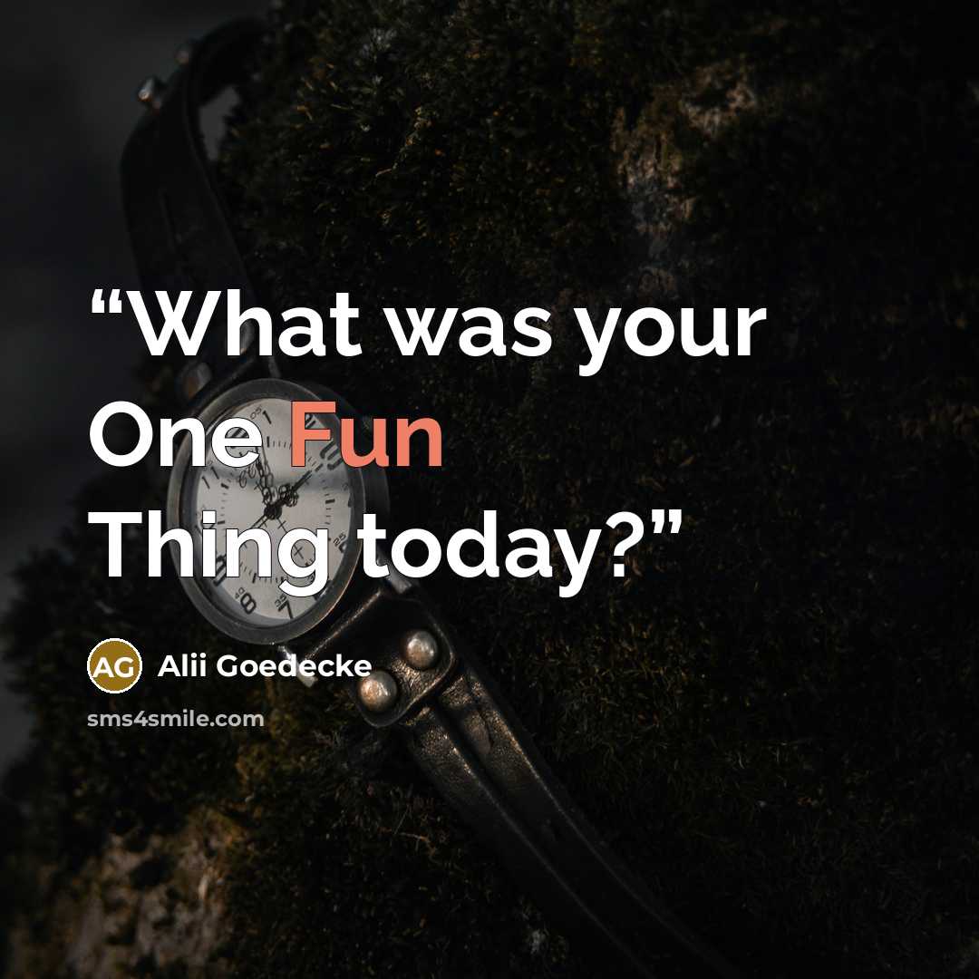 “What was your One Fun Thing today?” quote by Alii Goedecke