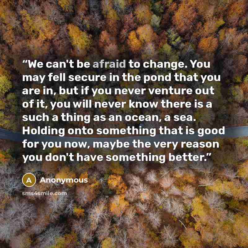 “We can't be afraid to change. You may fell secure in the pond that you are in, but if you never venture out of it, you will never know there is a such a thing as an ocean, a sea. Holding onto something that is good for you now, maybe the very reason you don't have something better.” quote by Anonymous