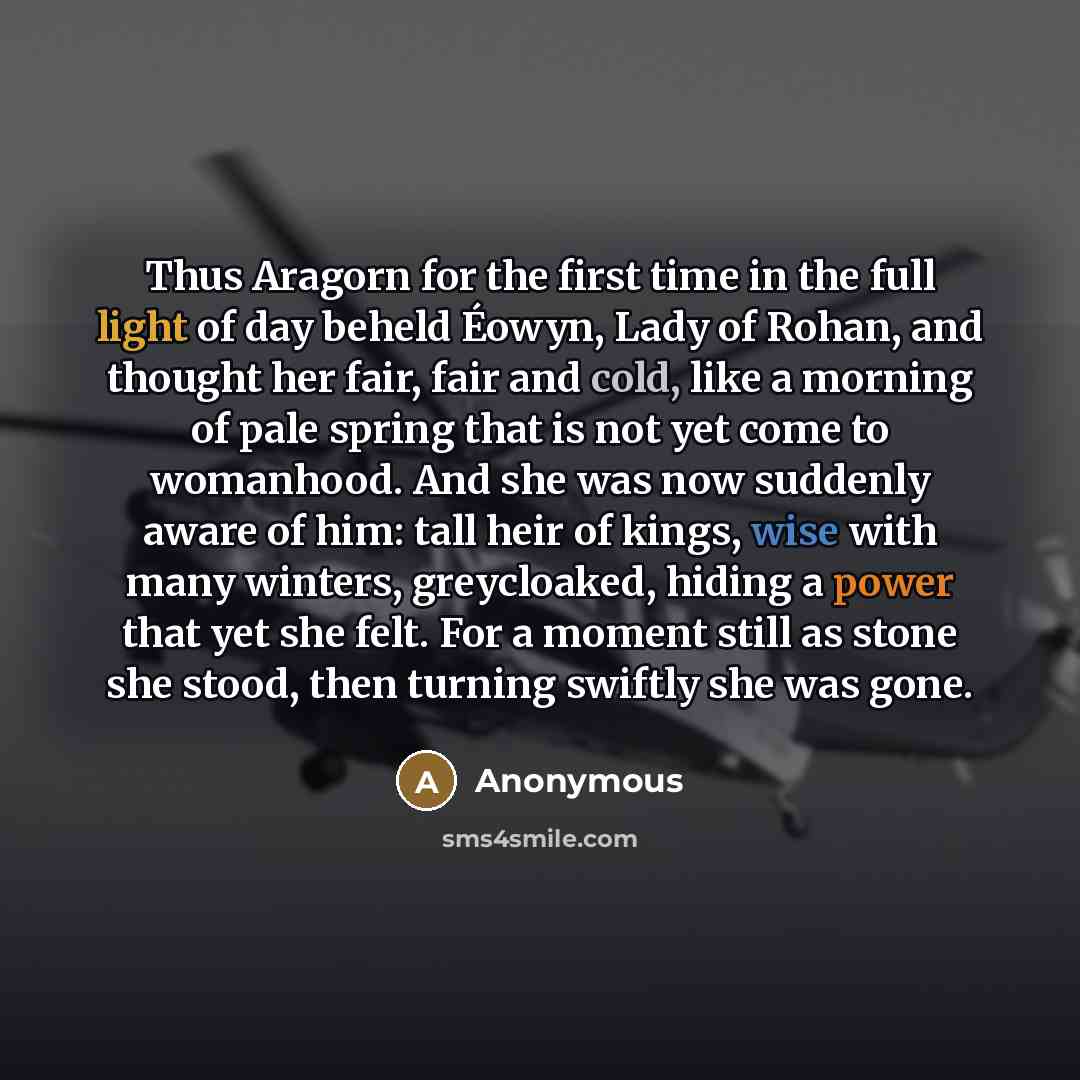 “Thus Aragorn for the first time in the full light…” quote by Anonymous