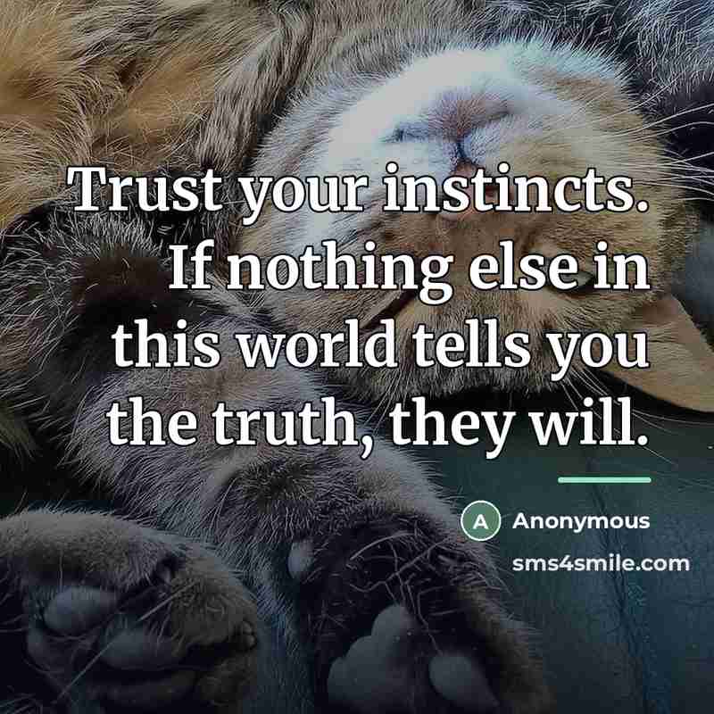 “Trust your instincts. If nothing else in this world tells…” quote by Anonymous