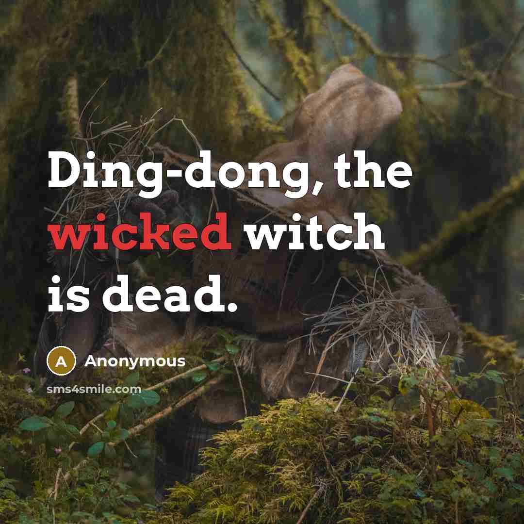 “Ding-dong, the wicked witch is dead.…” quote by Anonymous