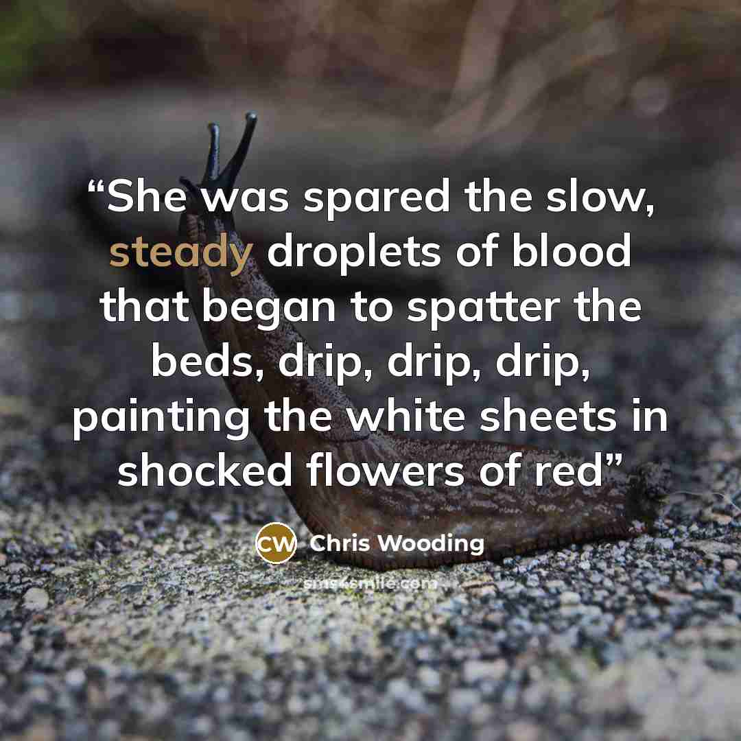 “She was spared the slow, steady droplets of blood that began to spatter the beds, drip, drip, drip, painting the white sheets in shocked flowers of red” quote by Chris Wooding