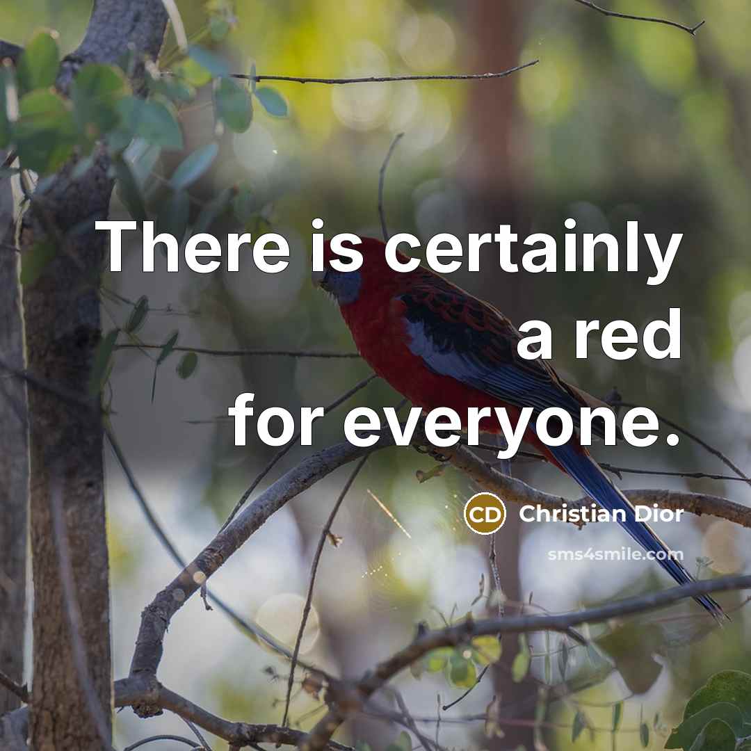 “There is certainly a red for everyone.…” quote by Christian Dior