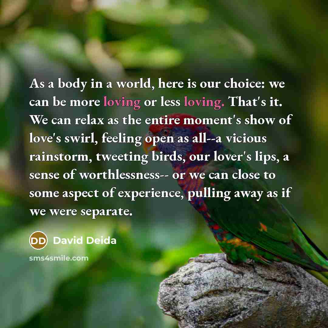 “As a body in a world, here is our choice:…” quote by David Deida