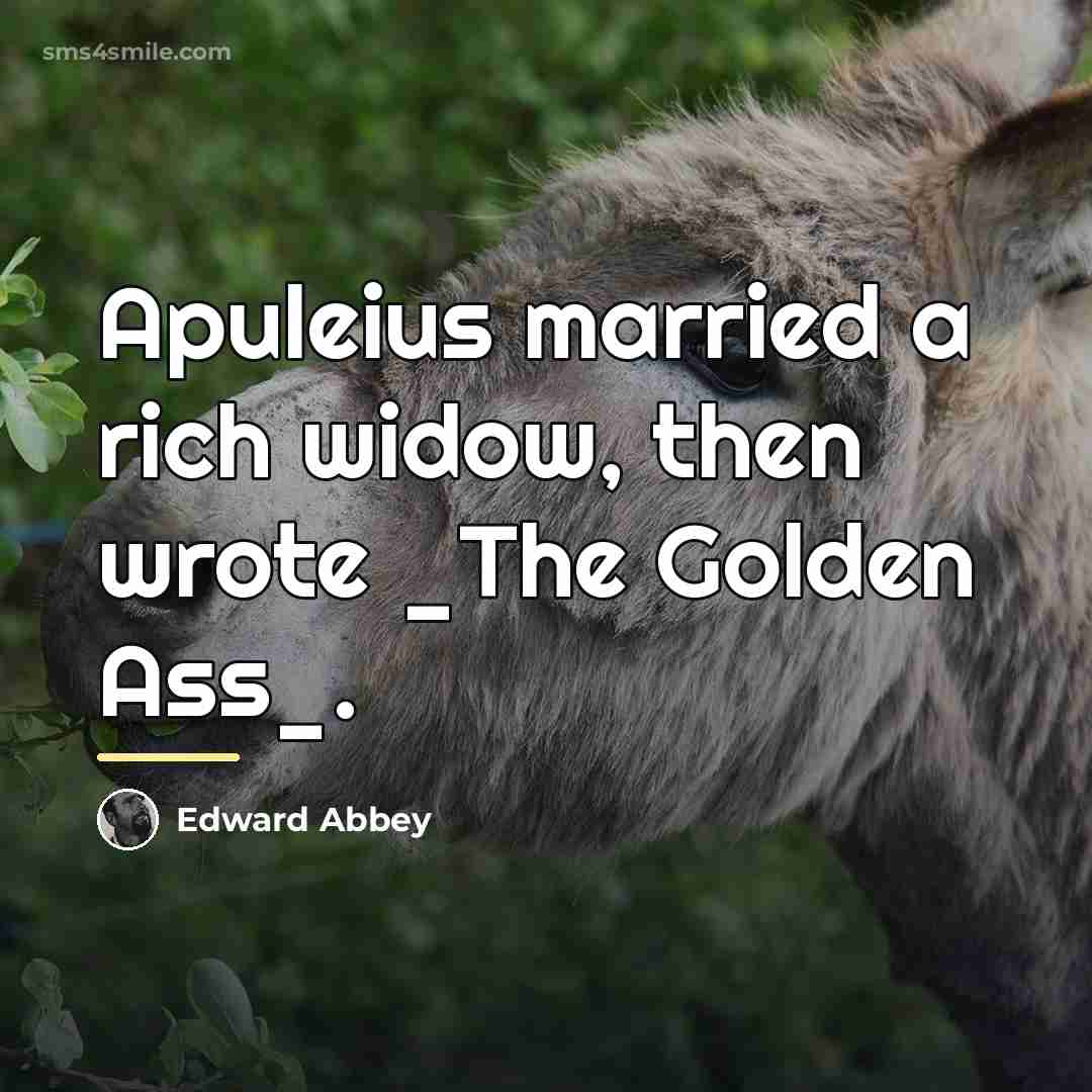 “Apuleius married a rich widow, then wrote _The Golden Ass_.…” quote by Edward Abbey