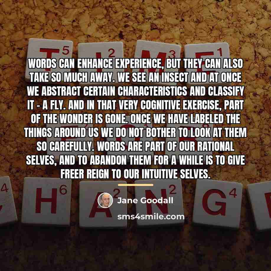 “Words can enhance experience, but they can also take so…” quote by Jane Goodall