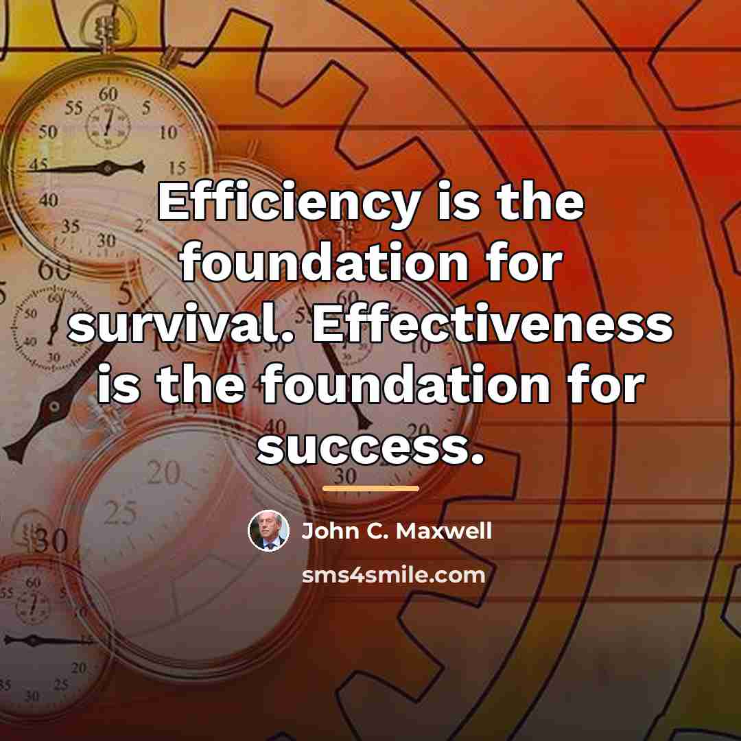 “Efficiency is the foundation for survival. Effectiveness is the foundation…” quote by John C. Maxwell