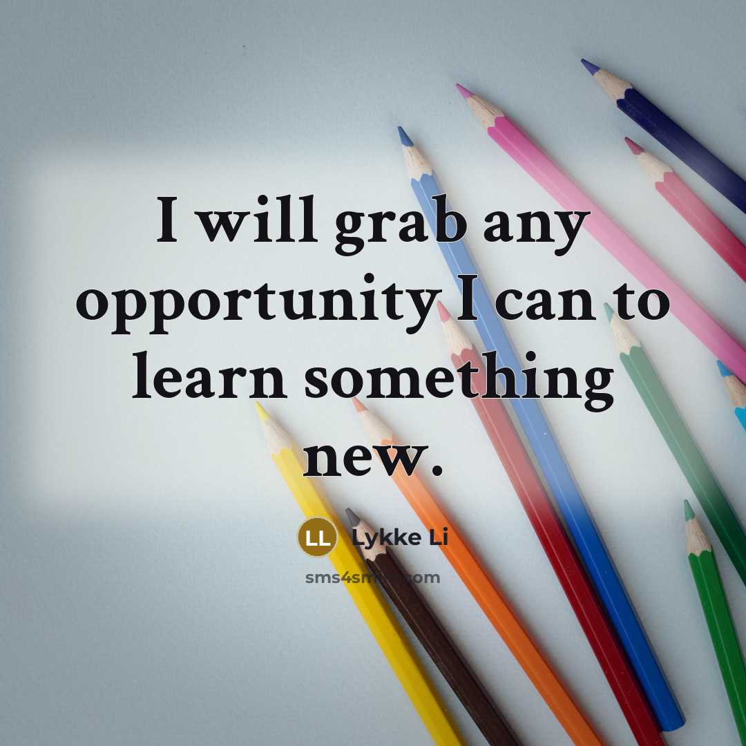 “I will grab any opportunity I can to learn something…” quote by Lykke Li