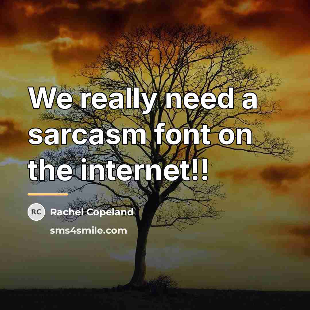 “We really need a sarcasm font on the internet!!…” quote by Rachel Copeland