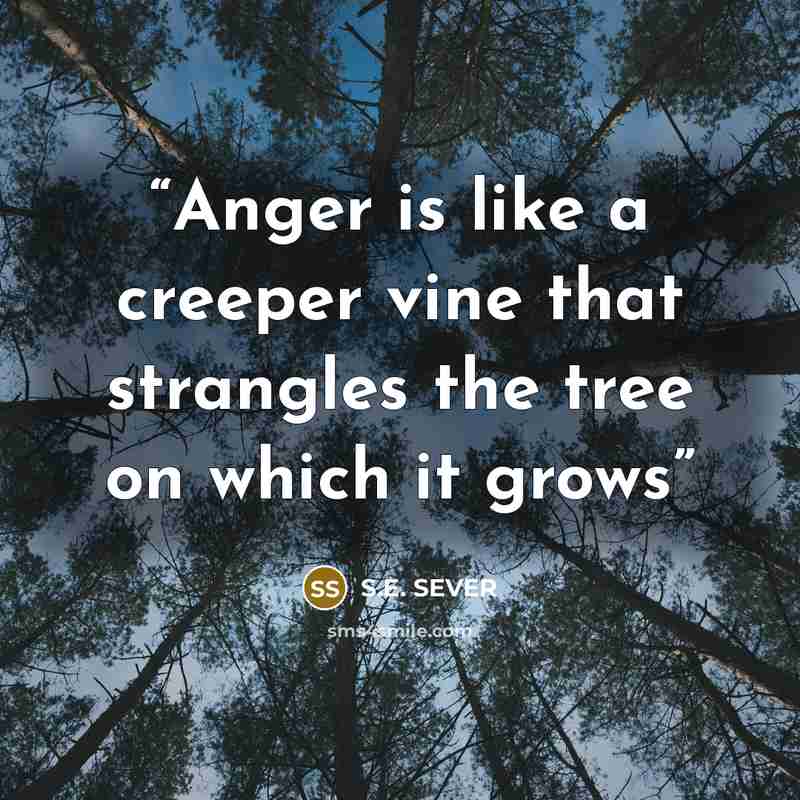 “Anger is like a creeper vine that strangles the tree on which it grows” quote by S.E. SEVER