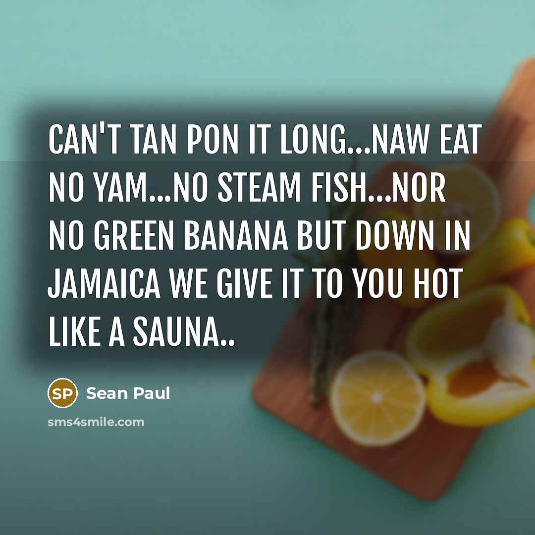 “CAN'T TAN PON IT LONG…NAW EAT NO YAM...NO STEAM FISH…NOR NO GREEN BANANA BUT DOWN IN JAMAICA WE GIVE IT TO YOU HOT LIKE A SAUNA..” quote by Sean Paul
