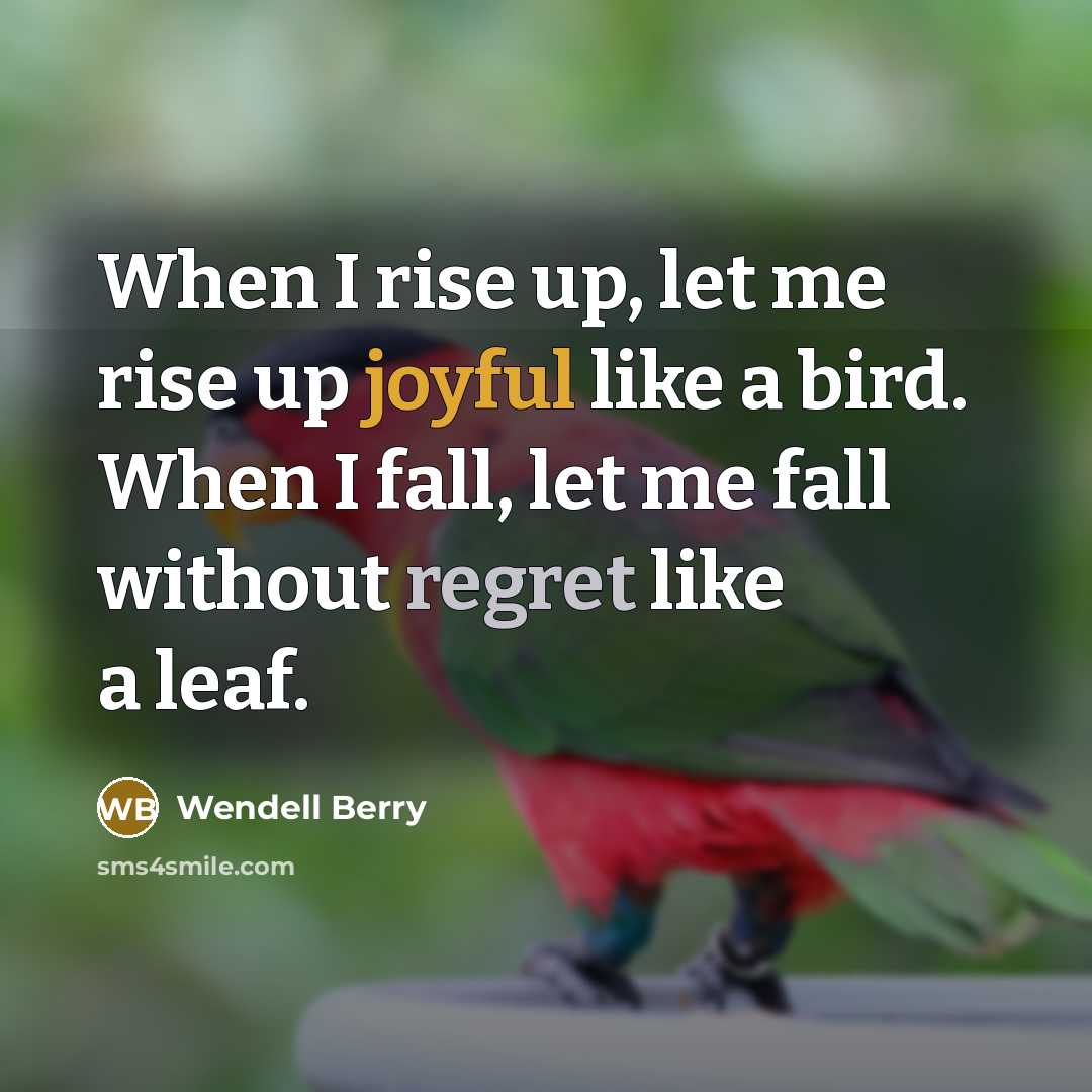 “When I rise up, let me rise up joyful like…” quote by Wendell Berry