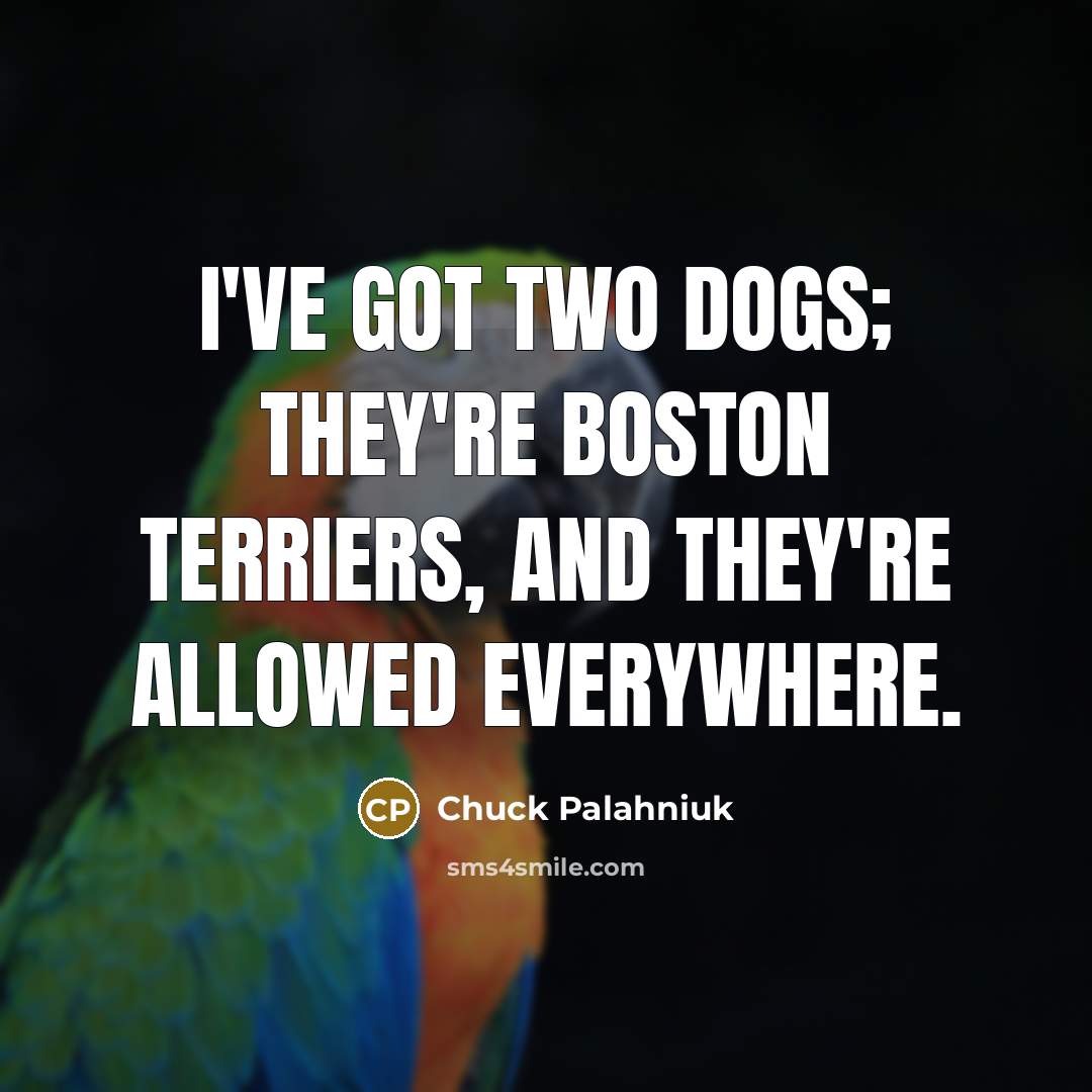 “I've got two dogs; they're Boston terriers, and they're allowed…” quote by Chuck Palahniuk