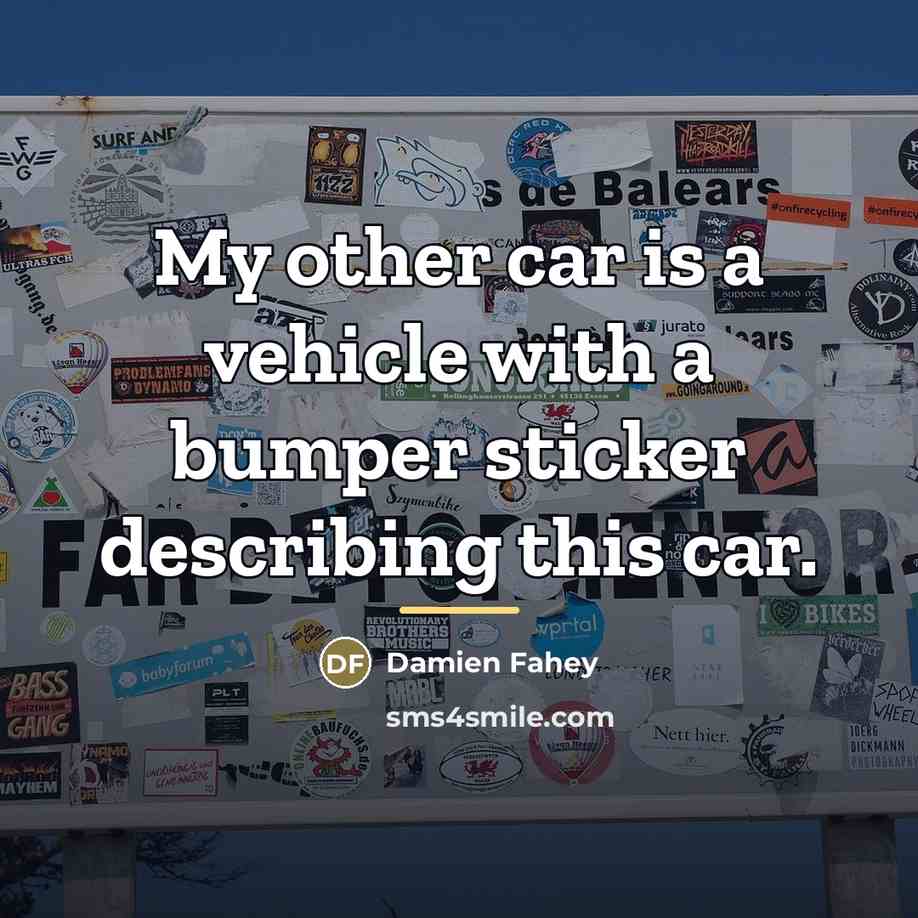 “My other car is a vehicle with a bumper sticker…” quote by Damien Fahey