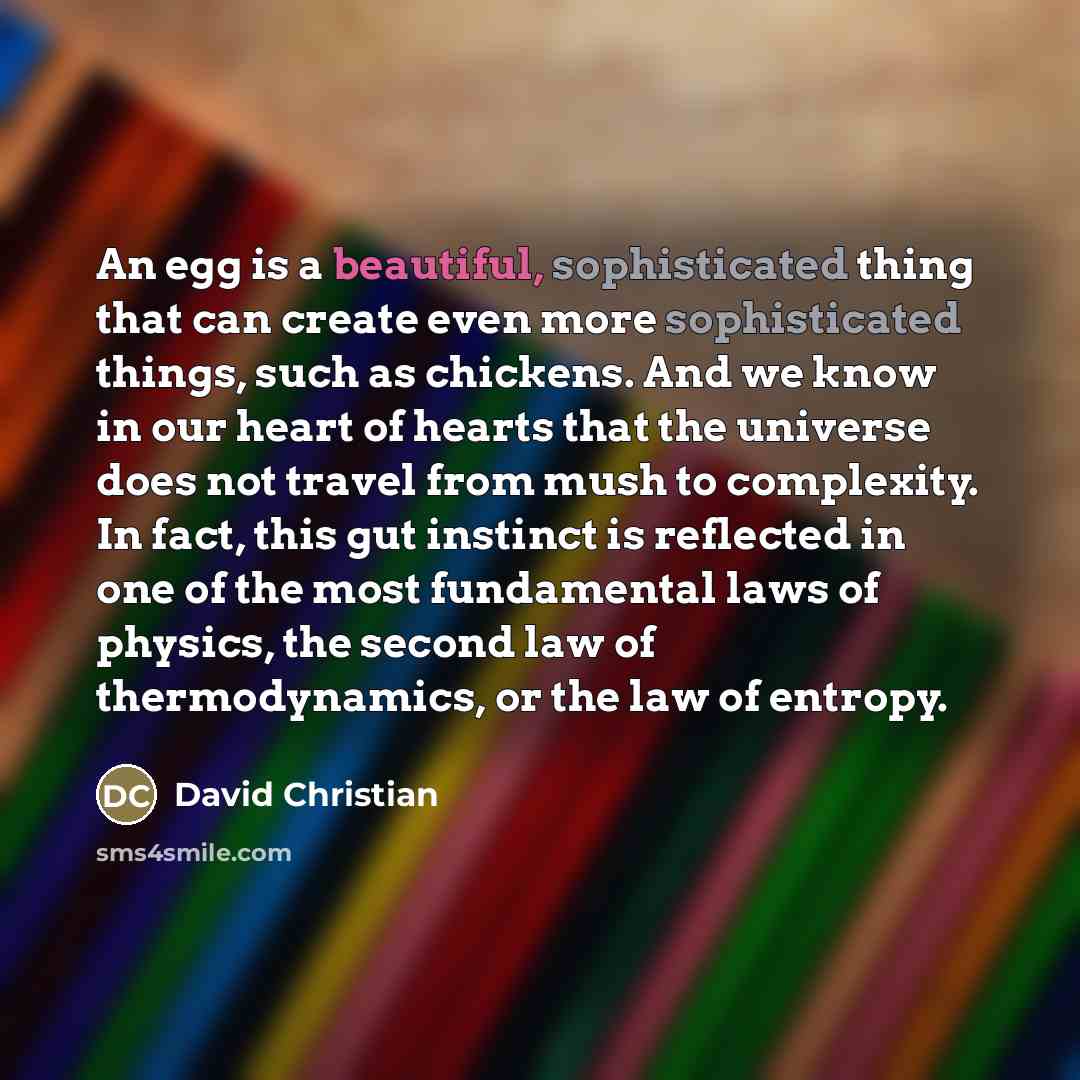 “An egg is a beautiful, sophisticated thing that can create…” quote by David Christian