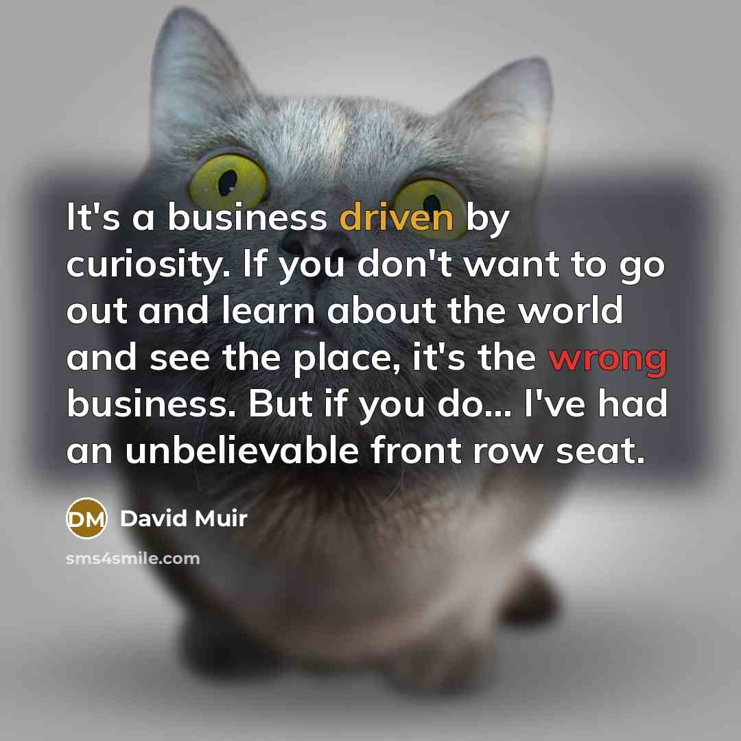 “It's a business driven by curiosity. If you don't want…” quote by David Muir