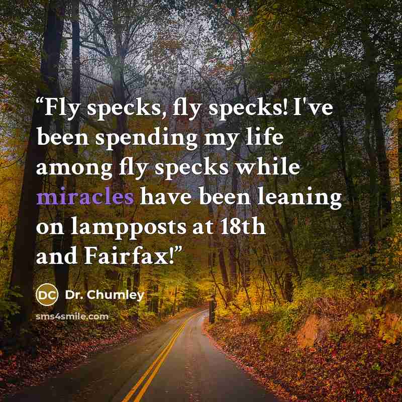 “Fly specks, fly specks! I've been spending my life among fly specks while miracles have been leaning on lampposts at 18th and Fairfax!” quote by Dr. Chumley
