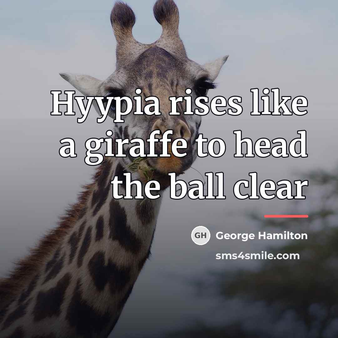 “Hyypia rises like a giraffe to head the ball clear…” quote by George Hamilton