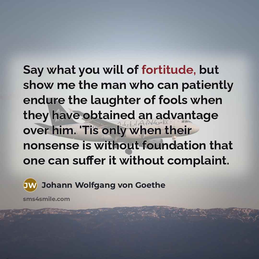 “Say what you will of fortitude, but show me the…” quote by Johann Wolfgang von Goethe