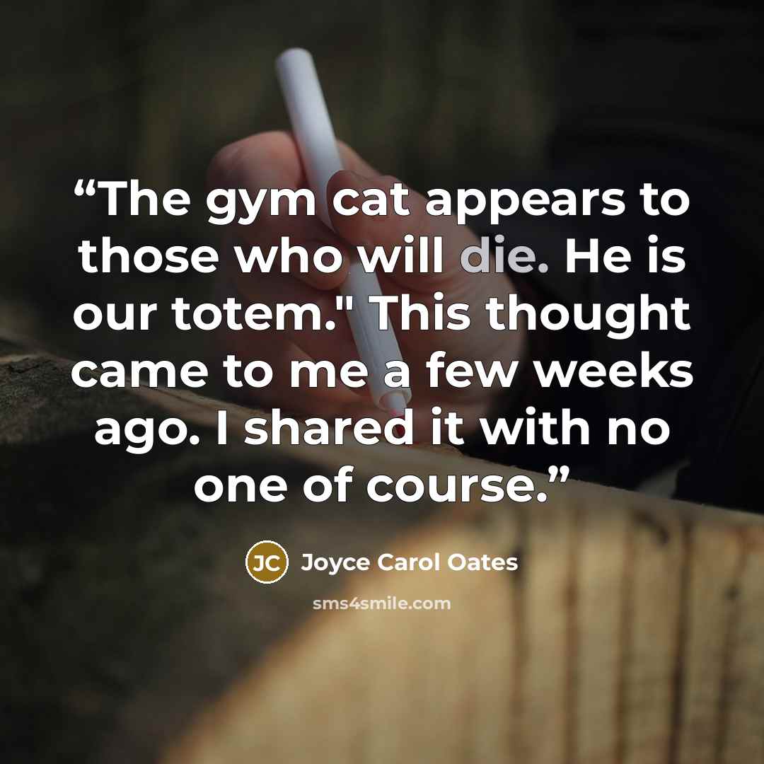 “The gym cat appears to those who will die. He is our totem." This thought came to me a few weeks ago. I shared it with no one of course.” quote by Joyce Carol Oates