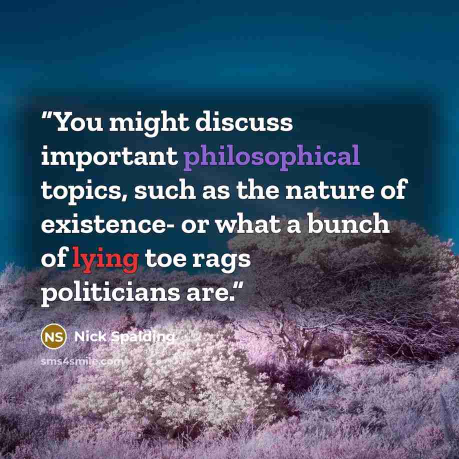 “You might discuss important philosophical topics, such as the nature of existence- or what a bunch of lying toe rags politicians are.” quote by Nick Spalding