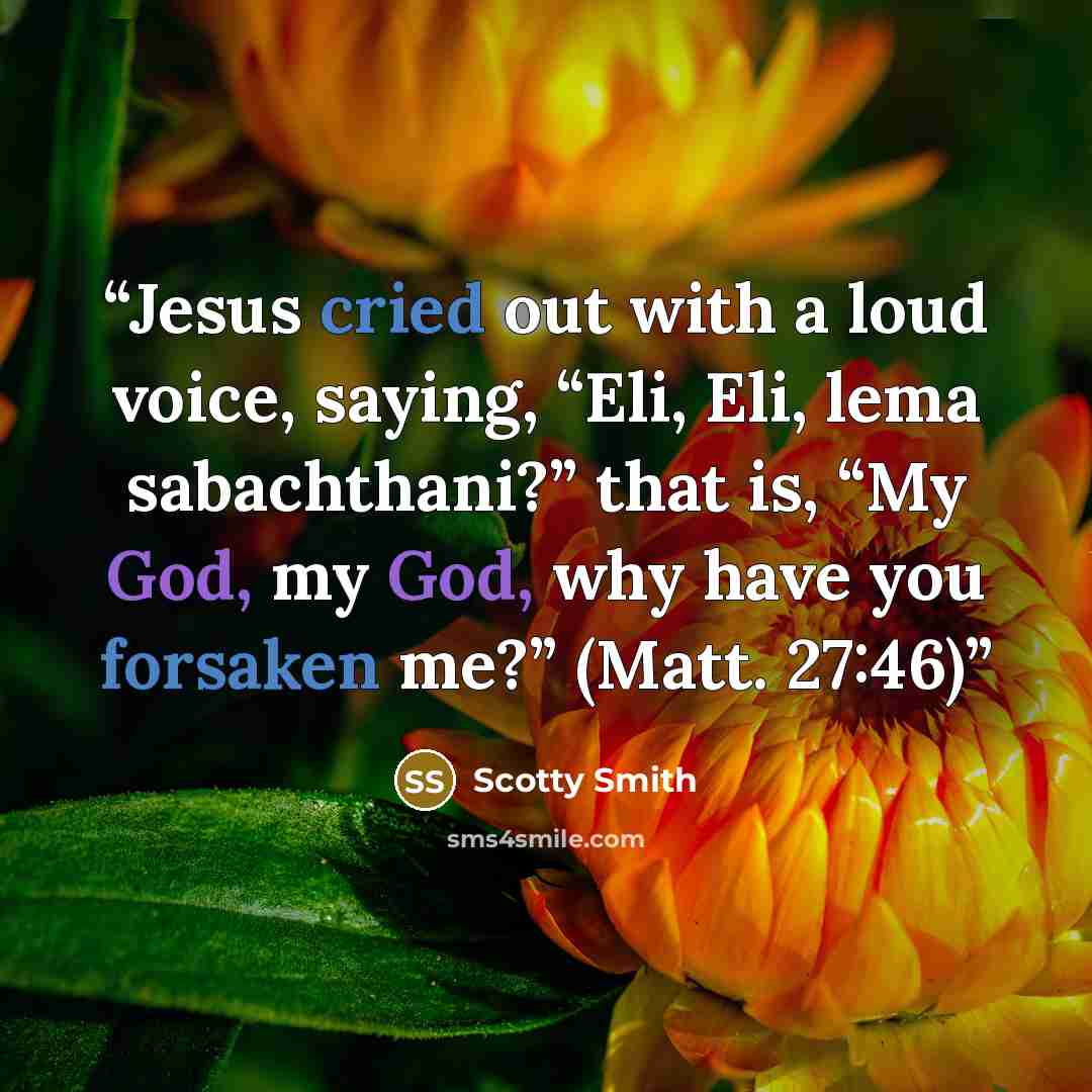 “Jesus cried out with a loud voice, saying, “Eli, Eli, lema sabachthani?” that is, “My God, my God, why have you forsaken me?” (Matt. 27:46)” quote by Scotty Smith
