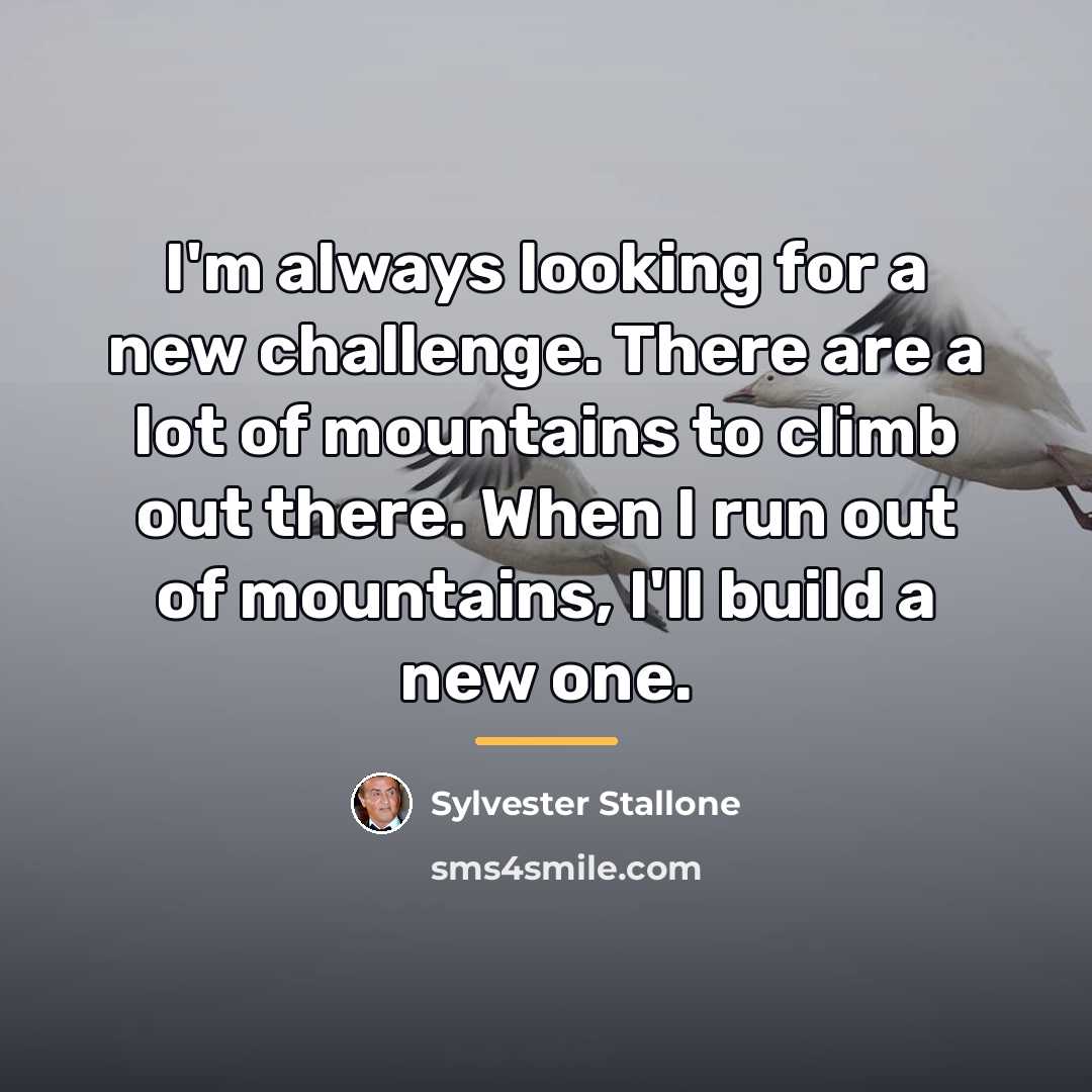 “I'm always looking for a new challenge. There are a…” quote by Sylvester Stallone