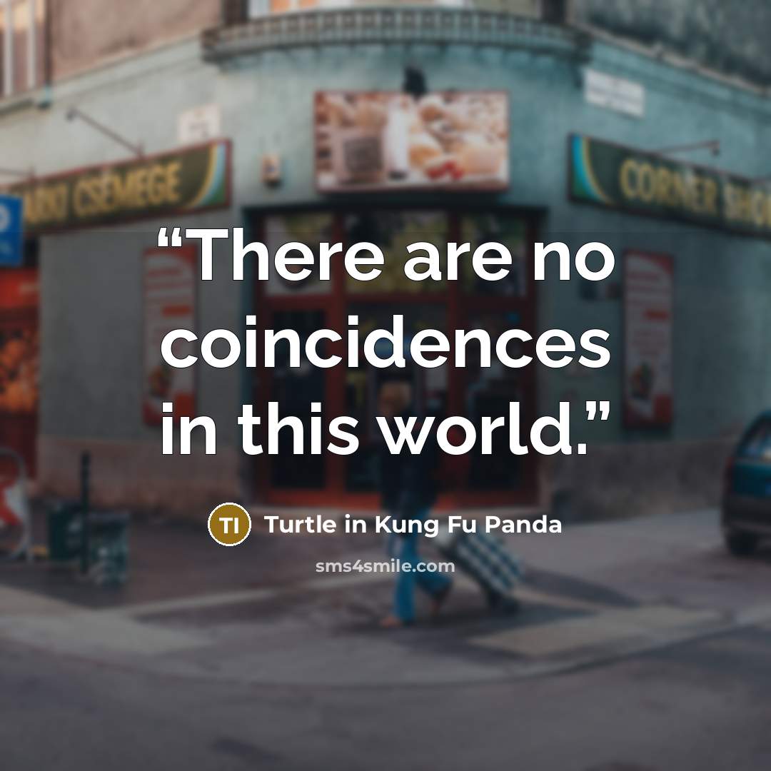 “There are no coincidences in this world.” quote by Turtle in Kung Fu Panda