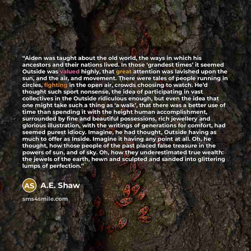 “Aiden was taught about the old world, the ways in which his ancestors and their nations lived. In those ‘grandest times’ it seemed Outside was valued highly, that great attention was lavished upon the sun, and the air, and movement. There were tales of people running in circles, fighting in the…” quote by A.E. Shaw