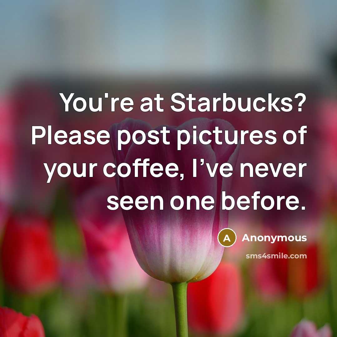 “You're at Starbucks? Please post pictures of your coffee, I've never seen one before.” quote by Anonymous