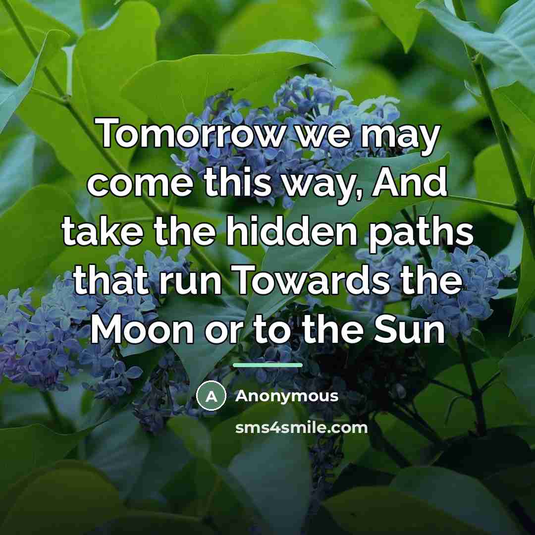 “Tomorrow we may come this way, And take the hidden…” quote by Anonymous