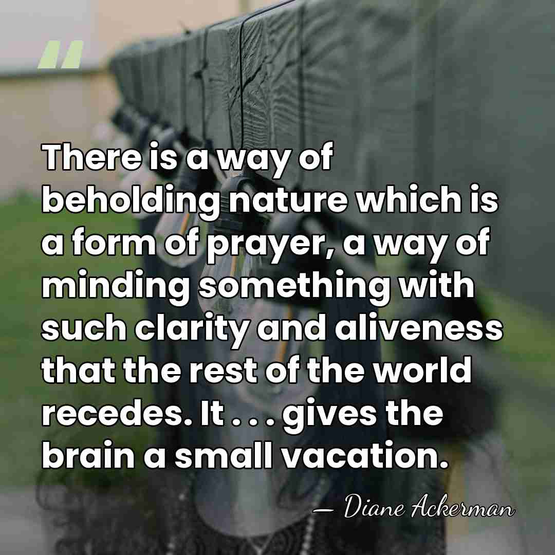 There is a way of beholding nature which is a form of&hellip; - Diane Ackerman