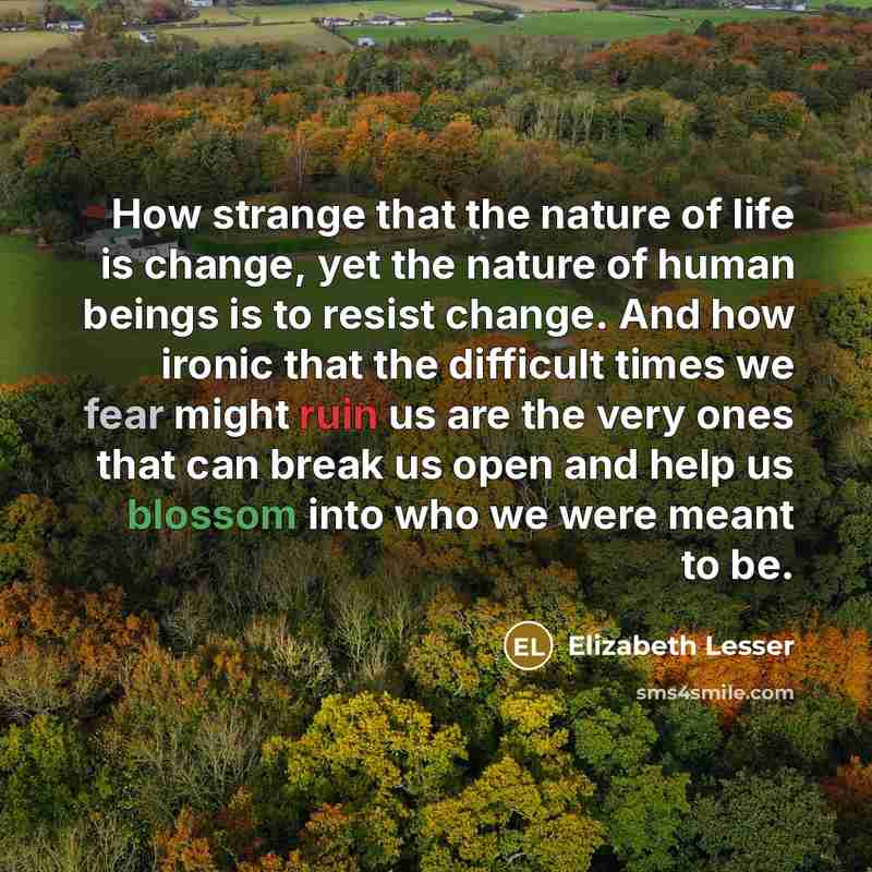“How strange that the nature of life is change, yet…” quote by Elizabeth Lesser