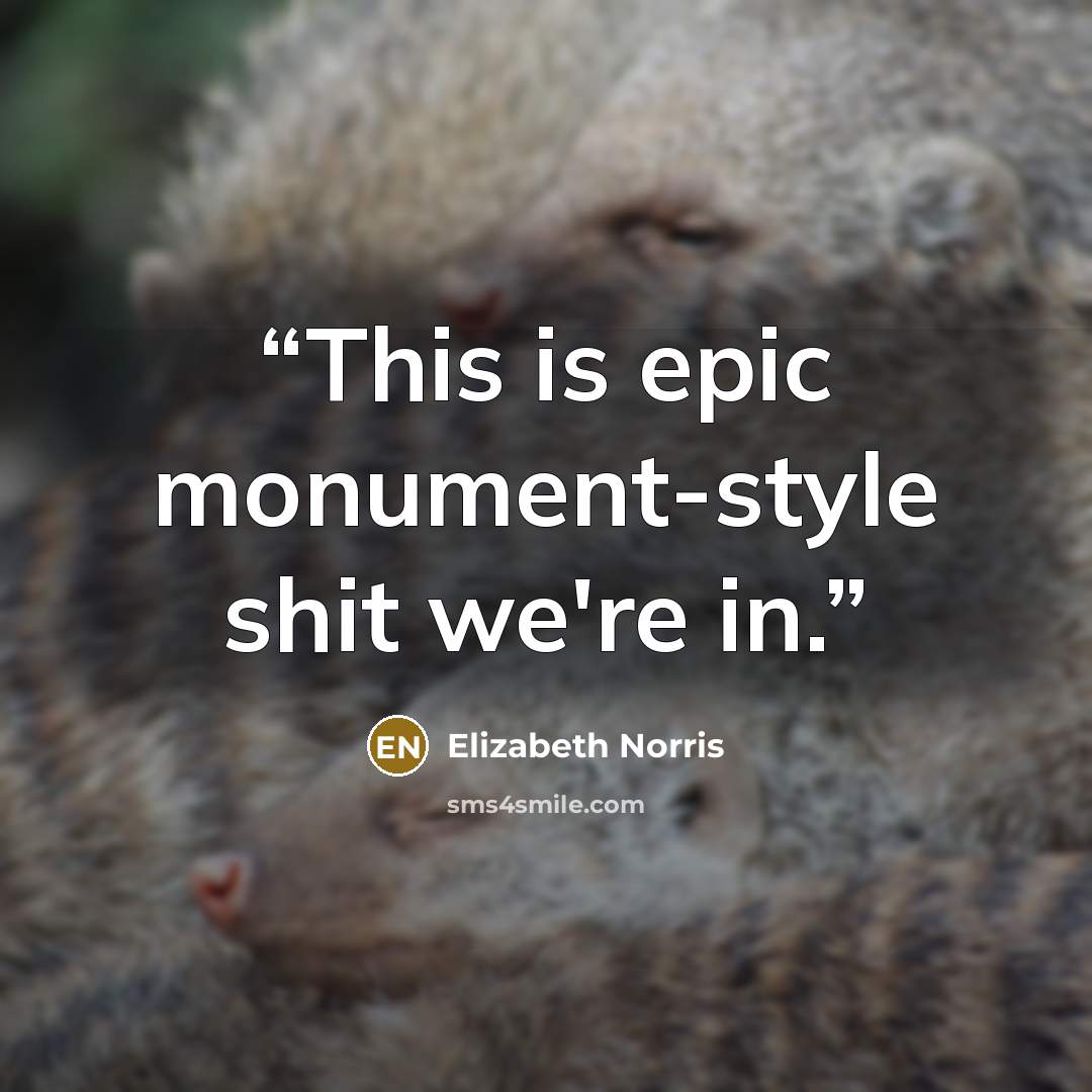 “This is epic monument-style shit we're in.” quote by Elizabeth Norris