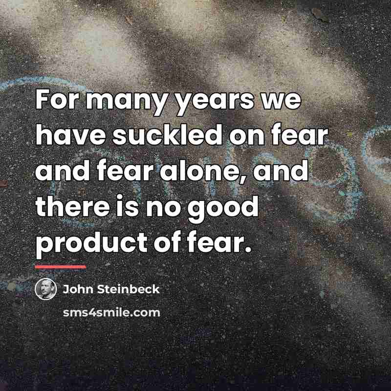 “For many years we have suckled on fear and fear…” quote by John Steinbeck