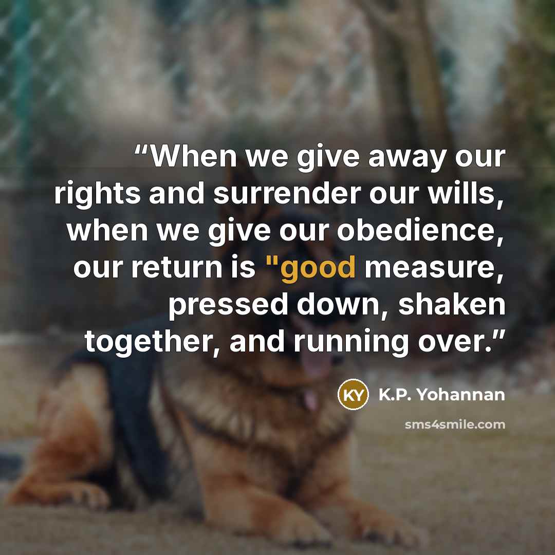“When we give away our rights and surrender our wills, when we give our obedience, our return is "good measure, pressed down, shaken together, and running over.” quote by K.P. Yohannan