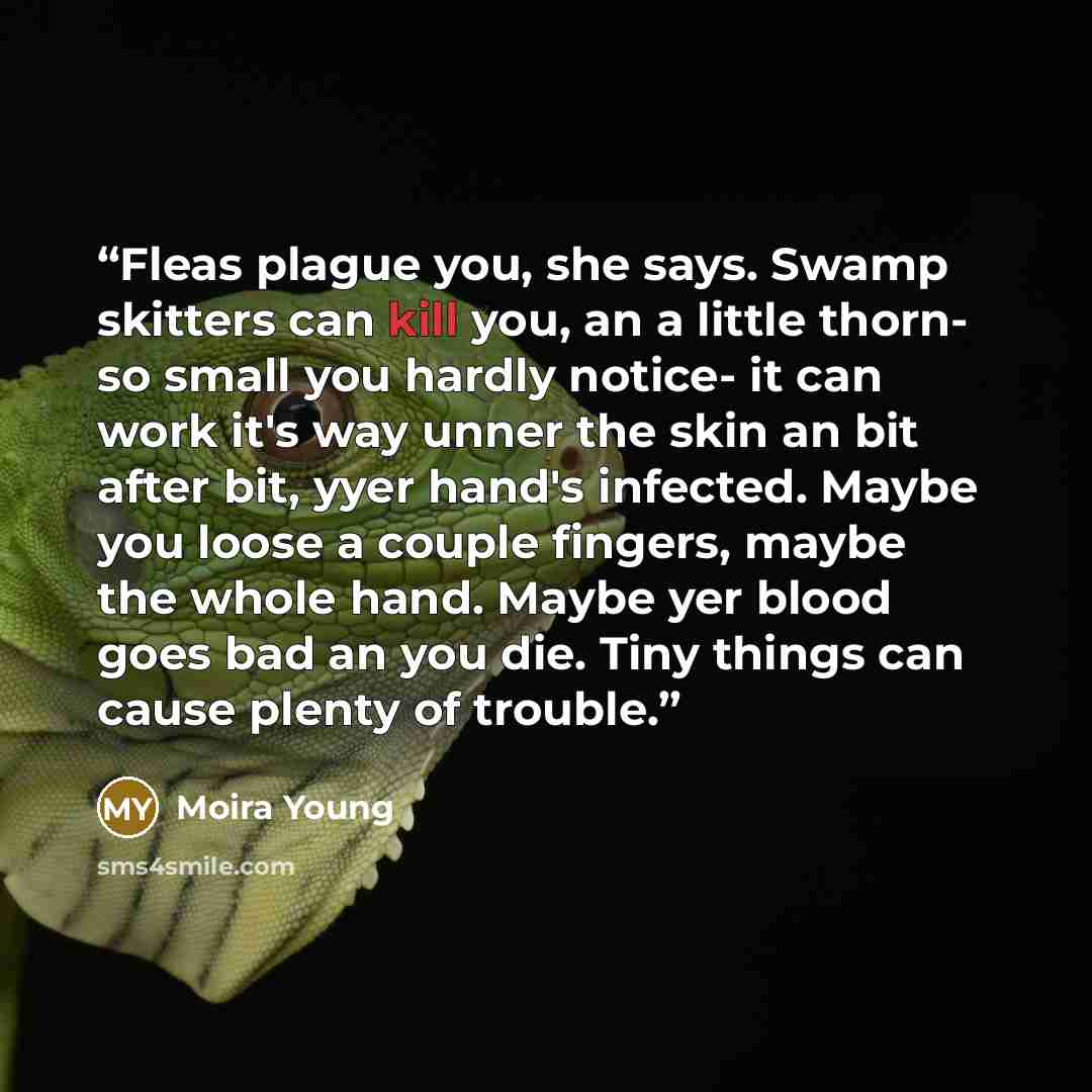 “Fleas plague you, she says. Swamp skitters can kill you, an a little thorn- so small you hardly notice- it can work it's way unner the skin an bit after bit, yyer hand's infected. Maybe you loose a couple fingers, maybe the whole hand. Maybe yer blood goes bad an you die. Tiny things can cause…” quote by Moira Young