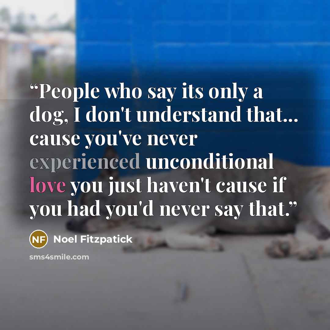 “People who say its only a dog, I don't understand that... cause you've never experienced unconditional love you just haven't cause if you had you'd never say that.” quote by Noel Fitzpatick