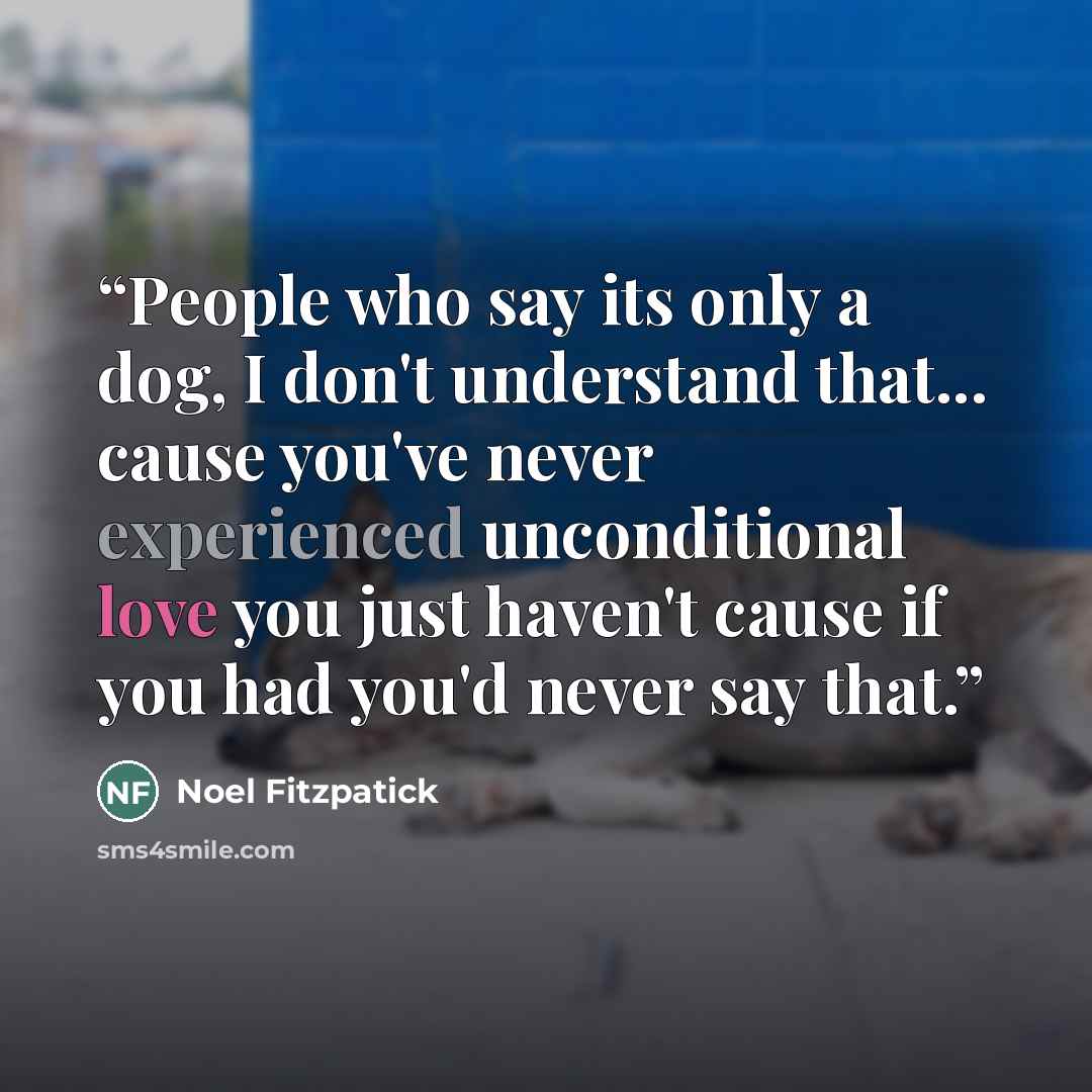 “People who say its only a dog, I don't understand that... cause you've never experienced unconditional love you just haven't cause if you had you'd never say that.” quote by Noel Fitzpatick